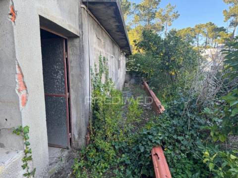 Excelente oportunidade: terreno urbano para construção