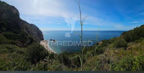 Excelente oportunidade: terreno urbano para construção