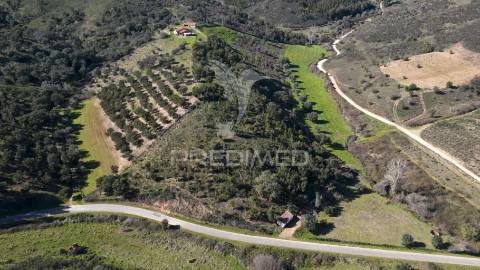 Quinta em são martinho das amoreiras.