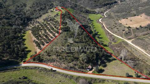 Quinta em são martinho das amoreiras.