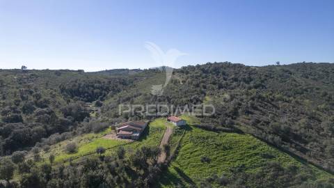 Quinta em são martinho das amoreiras.