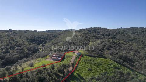 Quinta em são martinho das amoreiras.