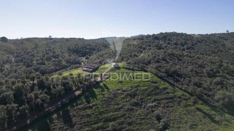 Quinta em são martinho das amoreiras.