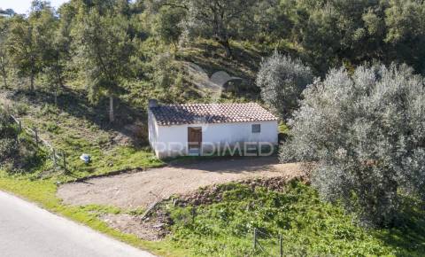 Quinta em são martinho das amoreiras.