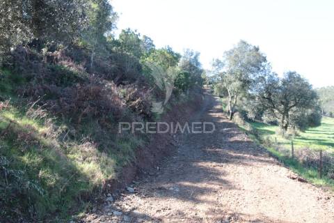 Quinta em são martinho das amoreiras.