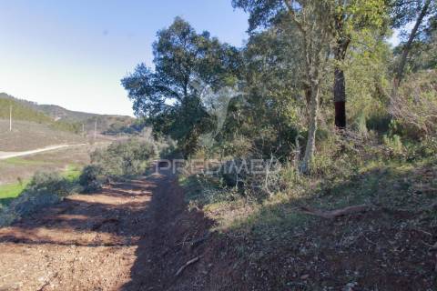 Quinta em são martinho das amoreiras.