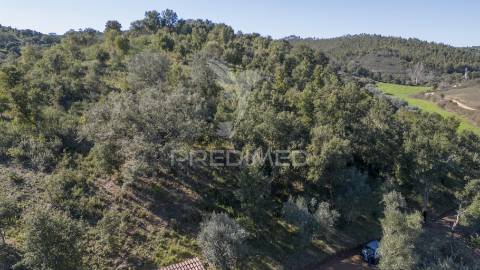 Quinta em são martinho das amoreiras.