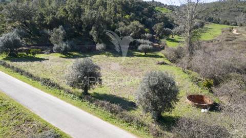 Quinta em são martinho das amoreiras.