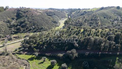 Quinta em são martinho das amoreiras.