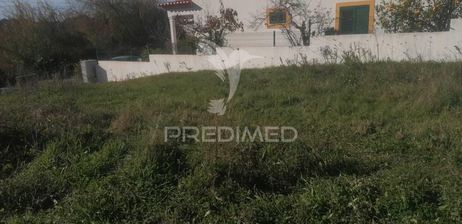 Lote em monte paleiros