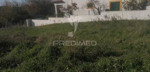 Lote em monte paleiros