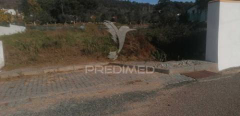 Lote em monte paleiros