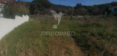 Lote em monte paleiros