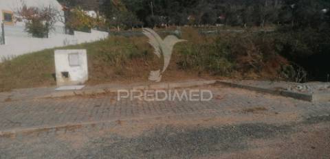 Lote em monte paleiros