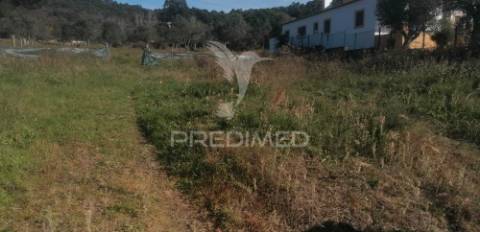 Lote em monte paleiros
