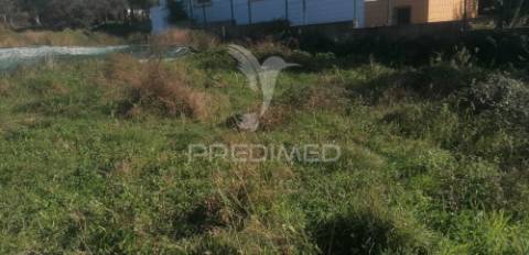 Lote em monte paleiros