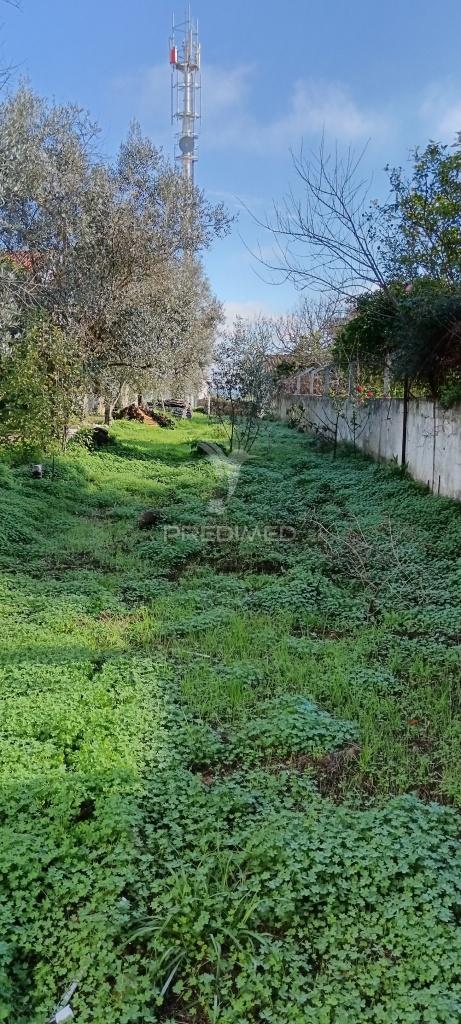 Casa antiga para reconstruir