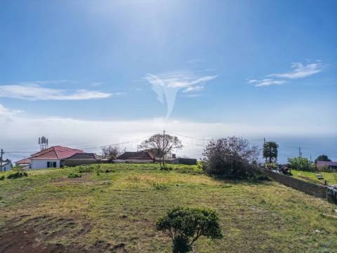 Moradias em gaula com terreno plano