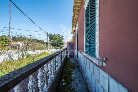 Moradias em gaula com terreno plano