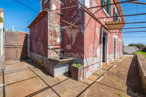 Moradias em gaula com terreno plano