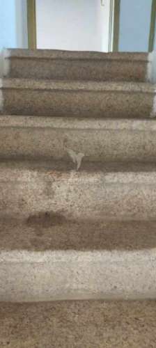 Moradia nos barretos