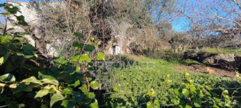 Casa antiga em montalvão/ nisa