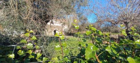 Casa antiga em montalvão/ nisa