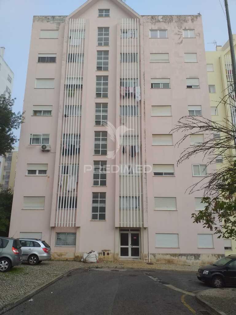 T1 loures