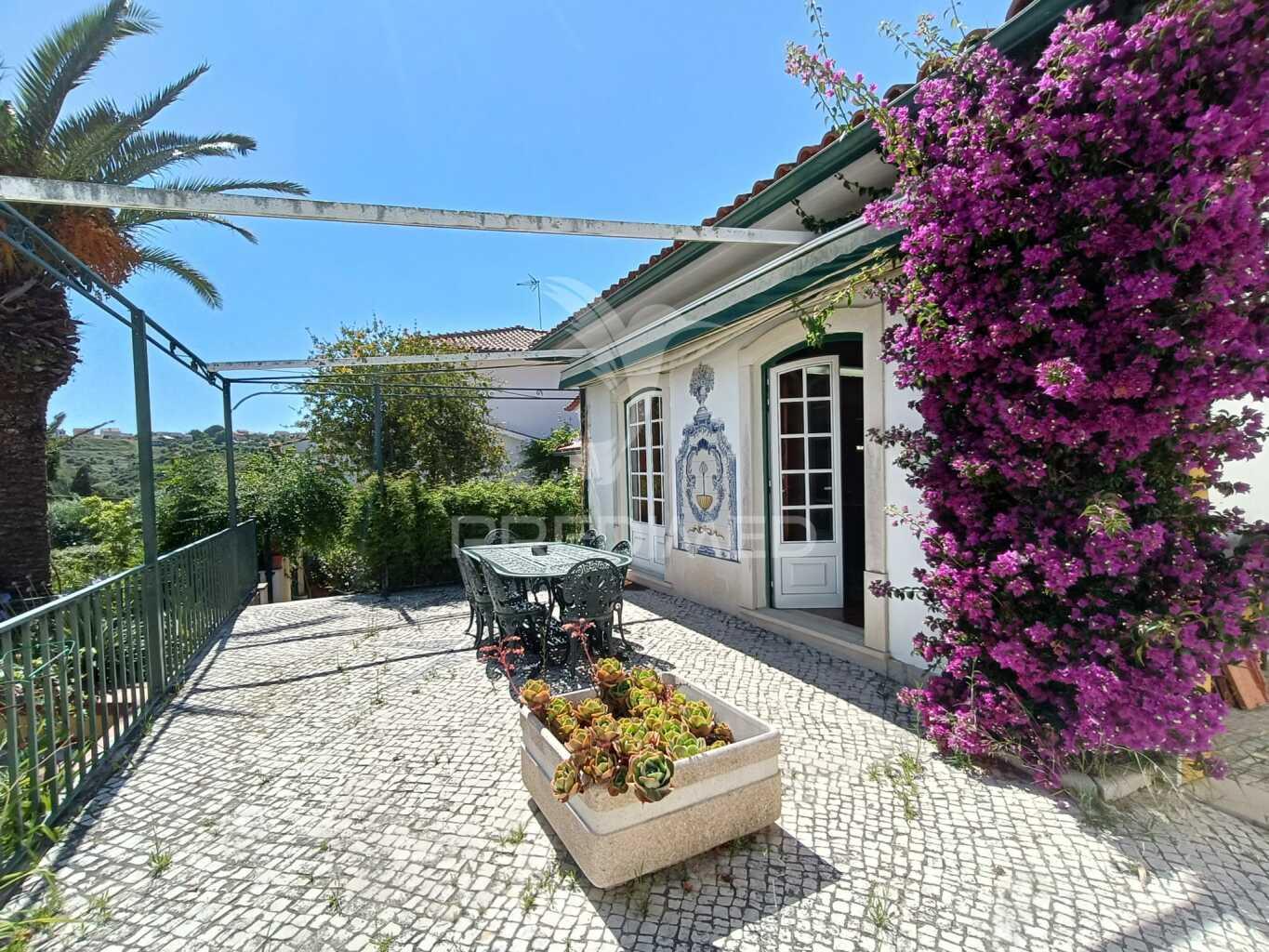 Quinta torres novas