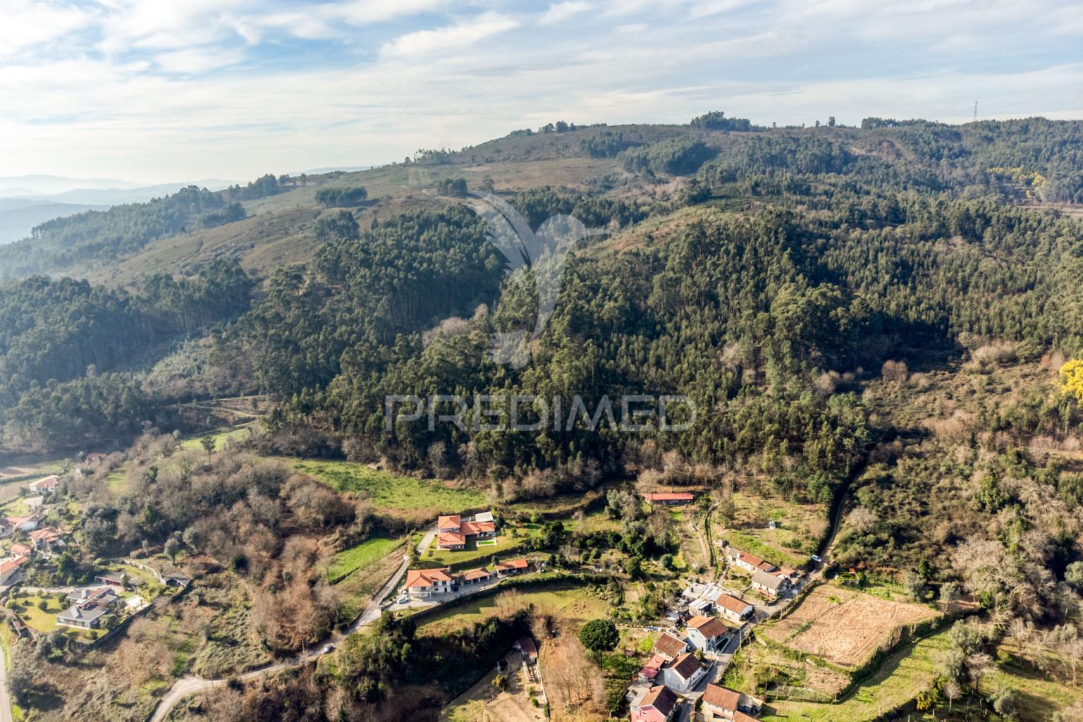 Terreno com 19 000 m2