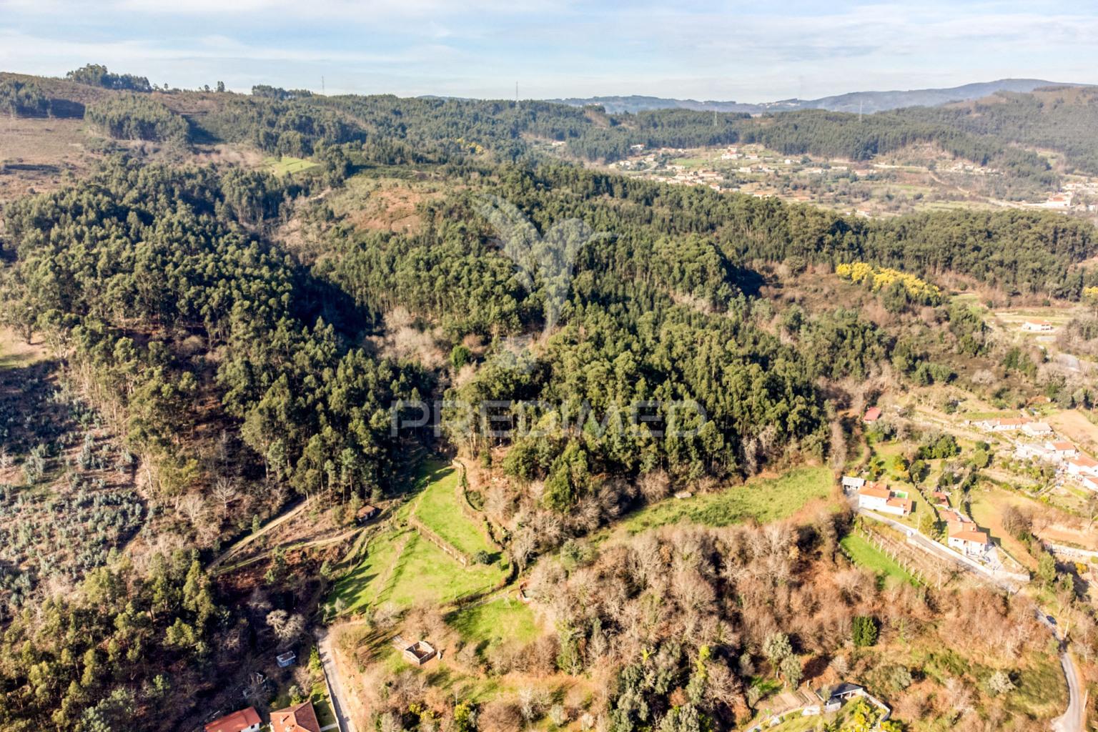 Terreno com 19 000 m2