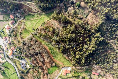 Terreno para venda em nevogilde, vila verde – 19.000 m²