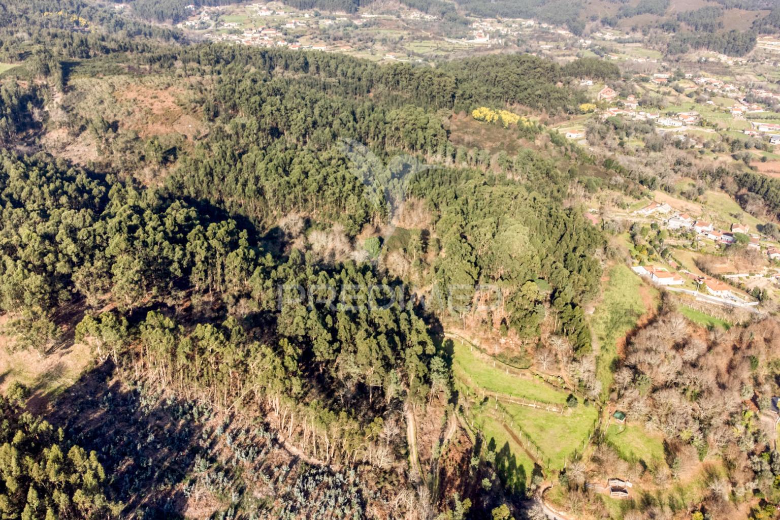 Terreno com 19 000 m2