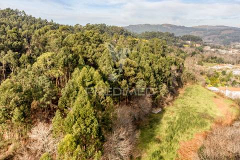 Terreno para venda em nevogilde, vila verde – 19.000 m²