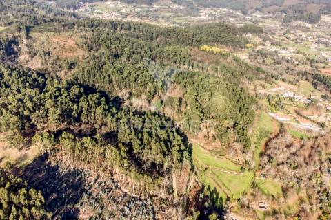Terreno para venda em nevogilde, vila verde – 19.000 m²