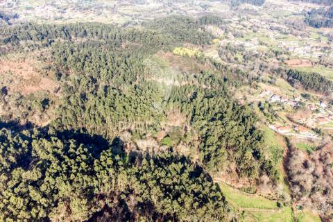 Terreno para venda em nevogilde, vila verde – 19.000 m²