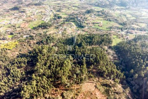 Terreno para venda em nevogilde, vila verde – 19.000 m²