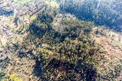 Terreno para venda em nevogilde, vila verde – 19.000 m²