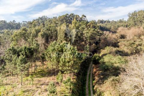 Terreno para venda em nevogilde, vila verde – 19.000 m²