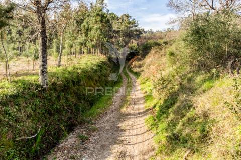 Terreno para venda em nevogilde, vila verde – 19.000 m²
