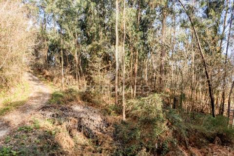 Terreno para venda em nevogilde, vila verde – 19.000 m²