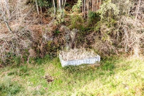 Terreno para venda em nevogilde, vila verde – 19.000 m²