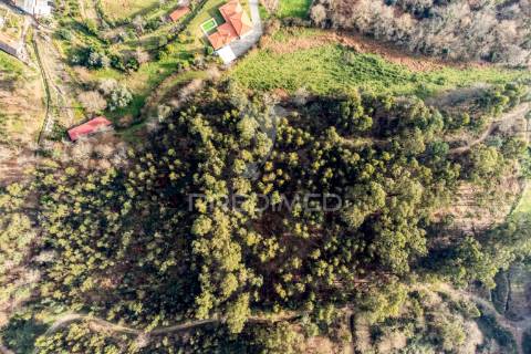 Terreno para venda em nevogilde, vila verde – 19.000 m²