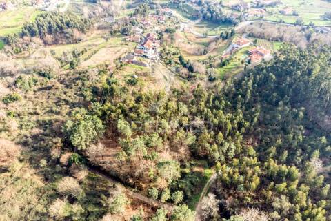 Terreno para venda em nevogilde, vila verde – 19.000 m²