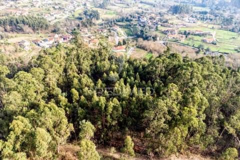 Terreno para venda em nevogilde, vila verde – 19.000 m²
