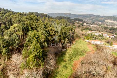 Terreno para venda em nevogilde, vila verde – 19.000 m²