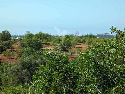 Quinta em castro marim, 36 ha, 1125m2 urbano, premium