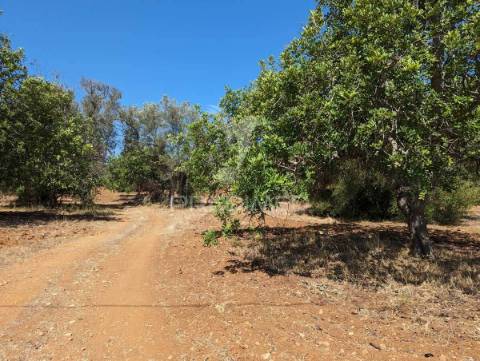 Quinta em castro marim, 36 ha, 1125m2 urbano, premium