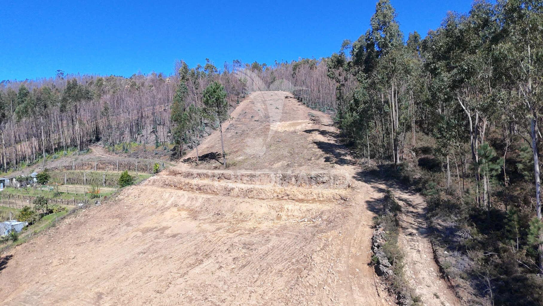 Terreno