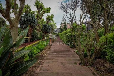 Herdade, para venda, na freguesia da ribeira seca, no concelho da ribeira grande